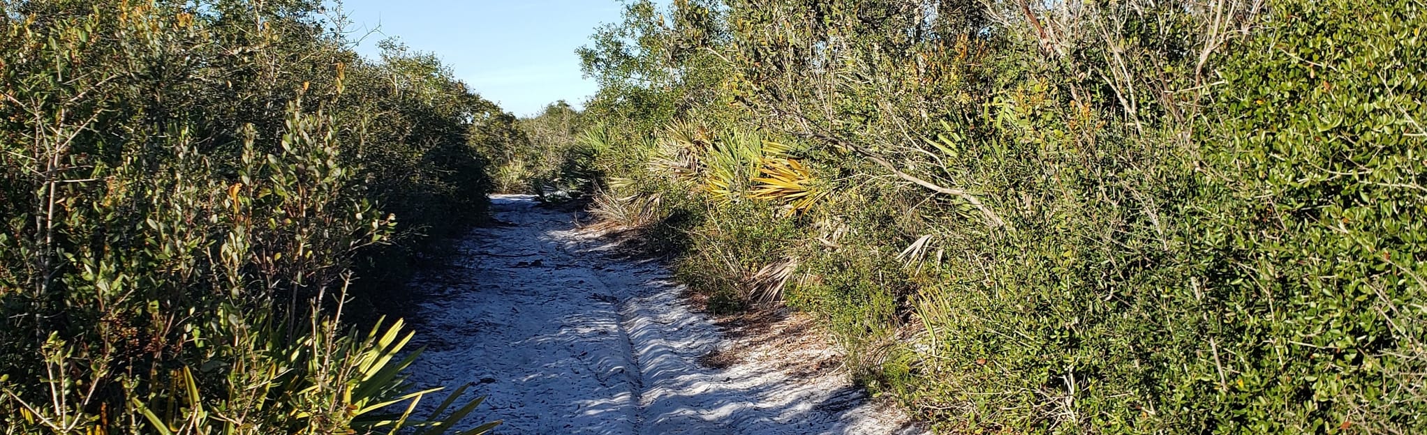 Wabasso Scrub Conservation Area Trail, Florida 14 Reviews, Map
