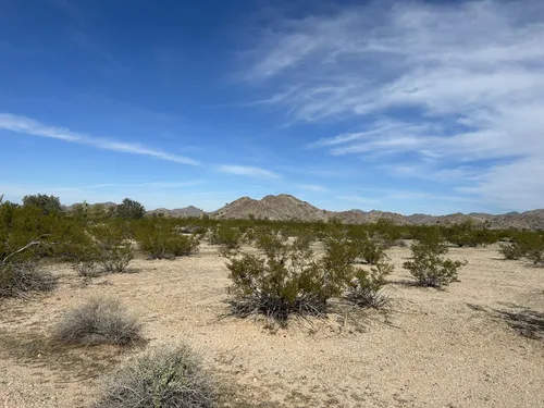 Best Hikes and Trails in Sonoran Desert National Monument AllTrails