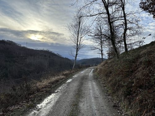 Rundweg A 3 - Oberförster-Pfahl-Weg