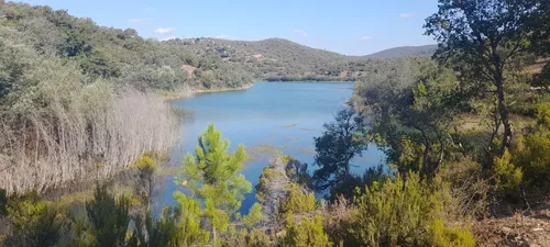 Observation des Oiseaux à l'embouchure du Var