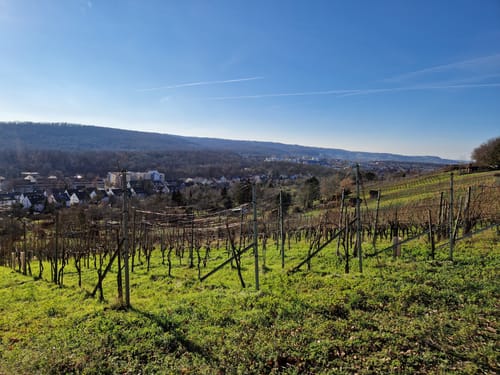 Feuerbacher Höhenweg