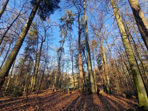Feuerbacher Höhenweg
