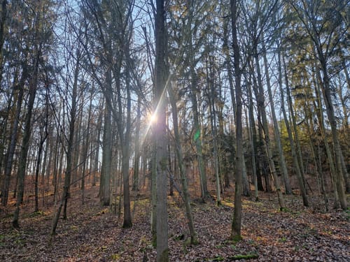Feuerbacher Höhenweg
