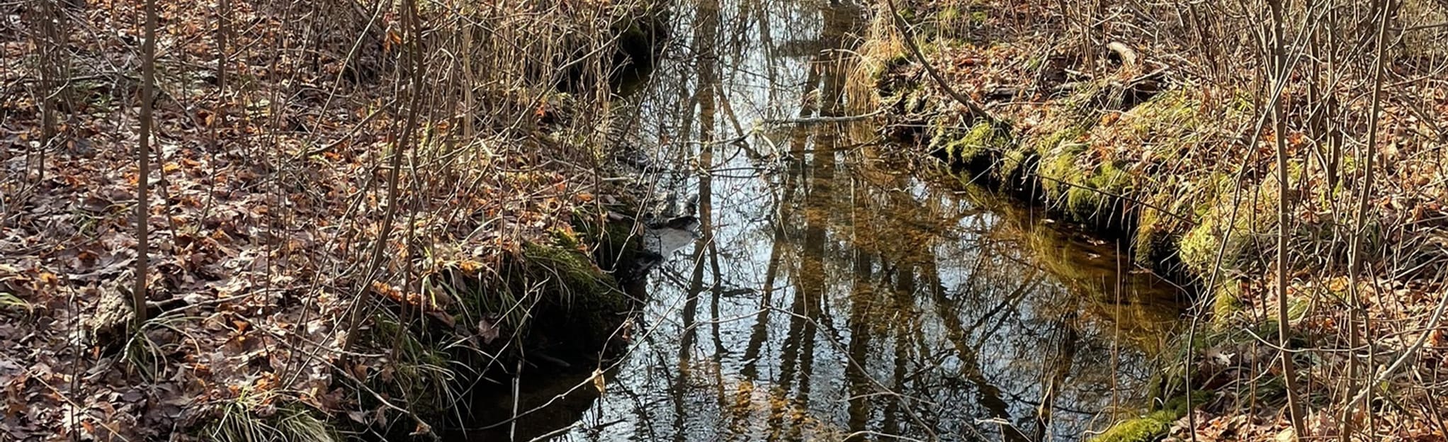 Grills Preserve GardinerGreen Lot Loop, Rhode Island 64 Reviews