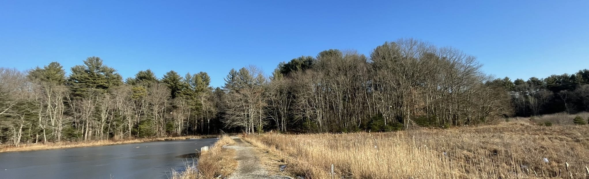 Cranberry Bog Peninsula Trail , Massachusetts - 114 Reviews, Map ...