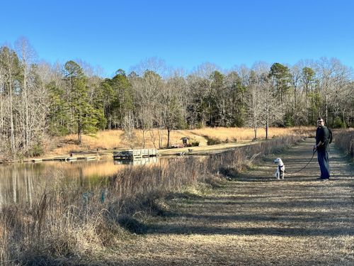 are dogs allowed at andrew jackson state park