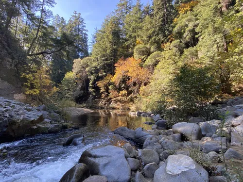 10 Best River Trails in Henry Cowell Redwoods State Park | AllTrails