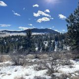 Pinewood Lake Trail, Colorado - 488 Reviews, Map | AllTrails