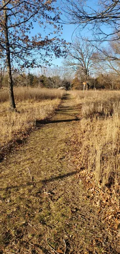 Best Hikes and Trails in Wilson Springs Preserve | AllTrails