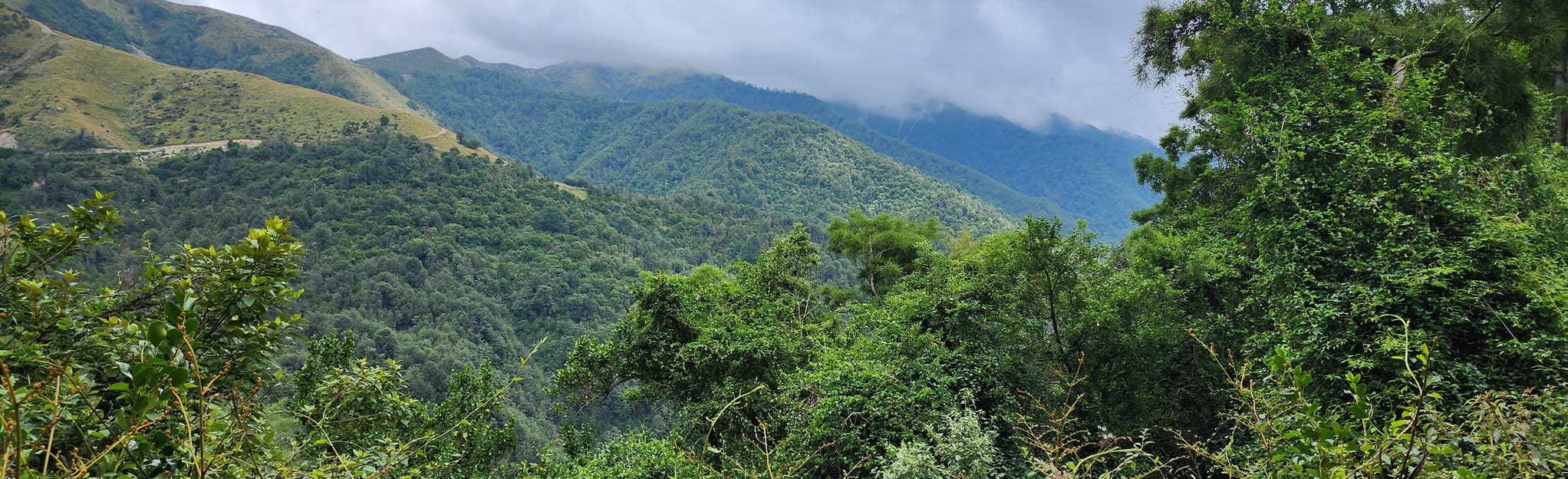 Mount Hutt Forest Loop Track, Canterbury, New Zealand 51 Reviews, Map