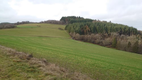 Kirchesch - Waldesch - Nitzblick
