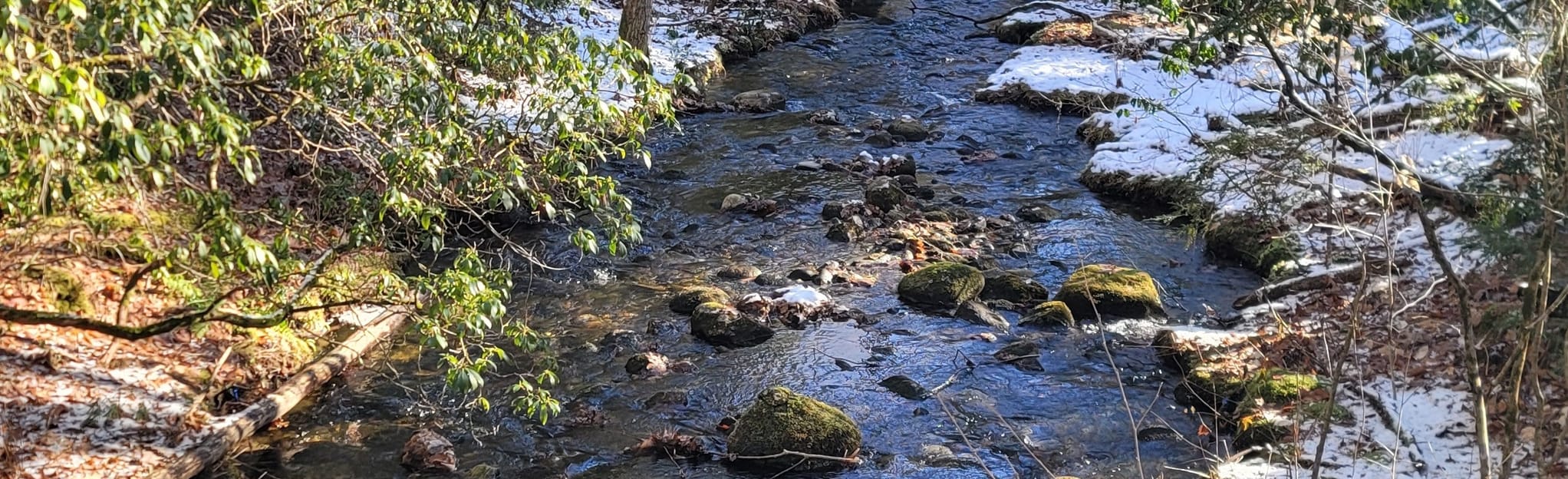 New Boston Road Loop, Massachusetts 24 Reviews, Map AllTrails