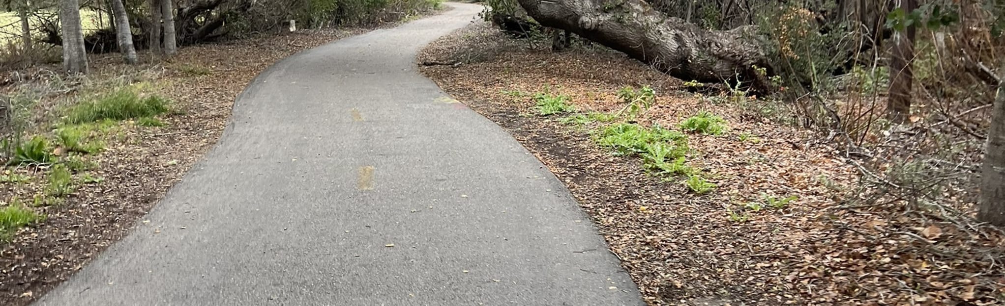 Bob Jones Bike Trail 172 Reviews, Map California AllTrails