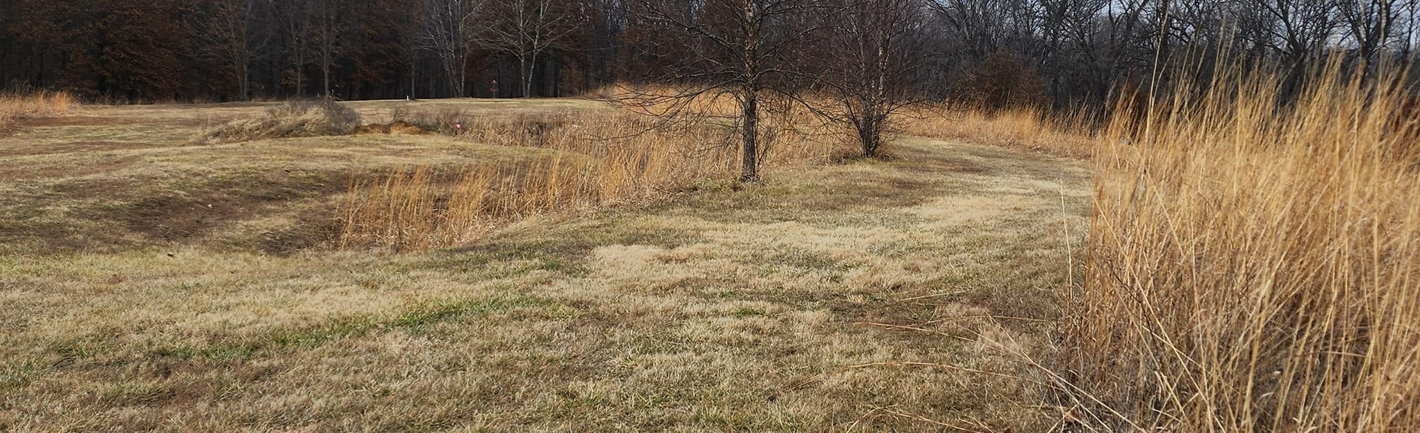 Indian Camp Creek Flint Ridge Loop, Missouri 53 Reviews, Map AllTrails