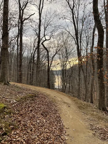 Fountainhead mountain bike discount trail