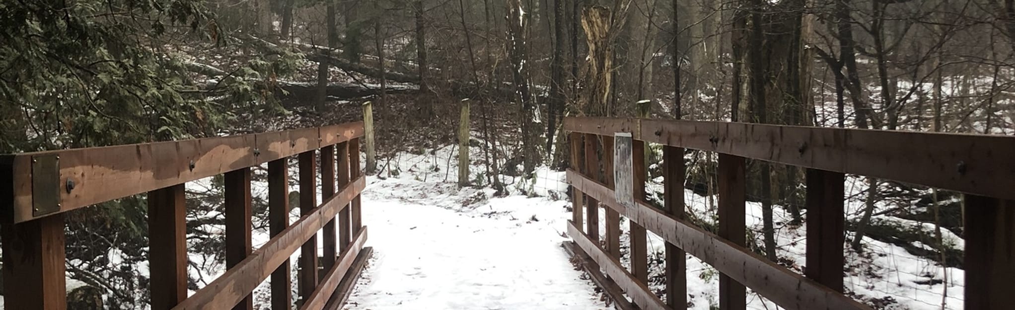 Brookdale Trail 59 foto's Ontario, Canada AllTrails