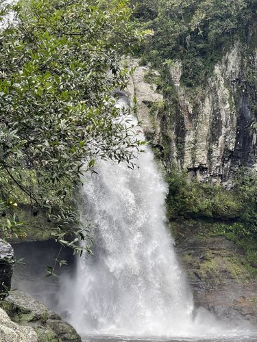 Rivière du mât - Bassin de la Mer, Réunion - 7 Reviews, Map