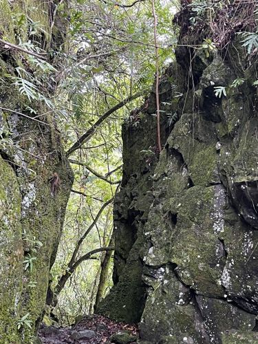 Rivière du mât - Bassin de la Mer, Réunion - 7 Reviews, Map