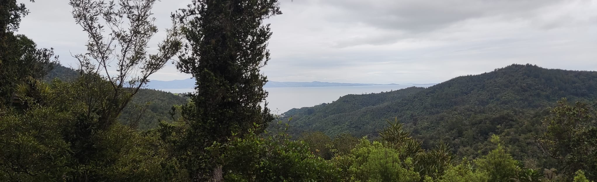 Te Puru Track Loop, Waikato, New Zealand 14 Reviews, Map AllTrails