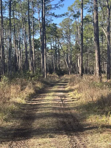 2023 Best Paddle Sports Trails in Foley | AllTrails