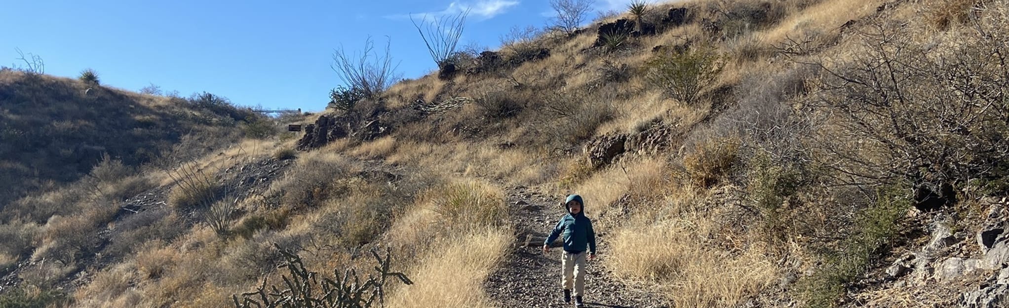 Homer Wilson Trail 146 Reviews - EyJidWNrZXQiOiJhc3NldHMuYWxsdHJhaWxzLmNvbSIsImtleSI6InVwbG9hZHMvcGhvdG8vaW1hZ2UvNTU1OTAzNjEvMjIwY2QwZmUxNzk1OGEzOWRlMDU3NWFmNWVhNjlkYTkuanBnIiwiZWRpdHMiOnsidG9Gb3JtYXQiOiJqcGVnIiwicmVzaXplIjp7IndpZHRoIjoyMDQ0LCJoZWlnaHQiOjYyNCwiZml0IjoiY292ZXIifSwicm90YXRlIjpudWxsLCJqcGVnIjp7InRyZWxsaXNRdWFudGlzYXRpb24iOnRydWUsIm92ZXJzaG9vdERlcmluZ2luZyI6dHJ1ZSwib3B0aW1pc2VTY2FucyI6dHJ1ZSwicXVhbnRpc2F0aW9uVGFibGUiOjN9fX0=