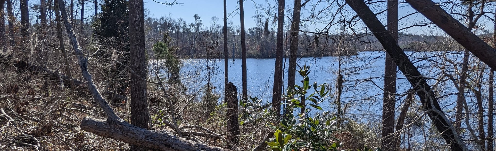 Kincaid Reservoir Shoreline Trail 79 Reviews, Map Louisiana AllTrails