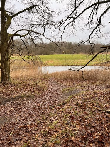 Ihlwald - Runde
