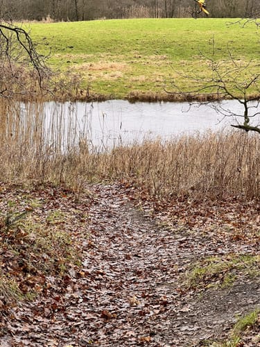 Ihlwald - Runde