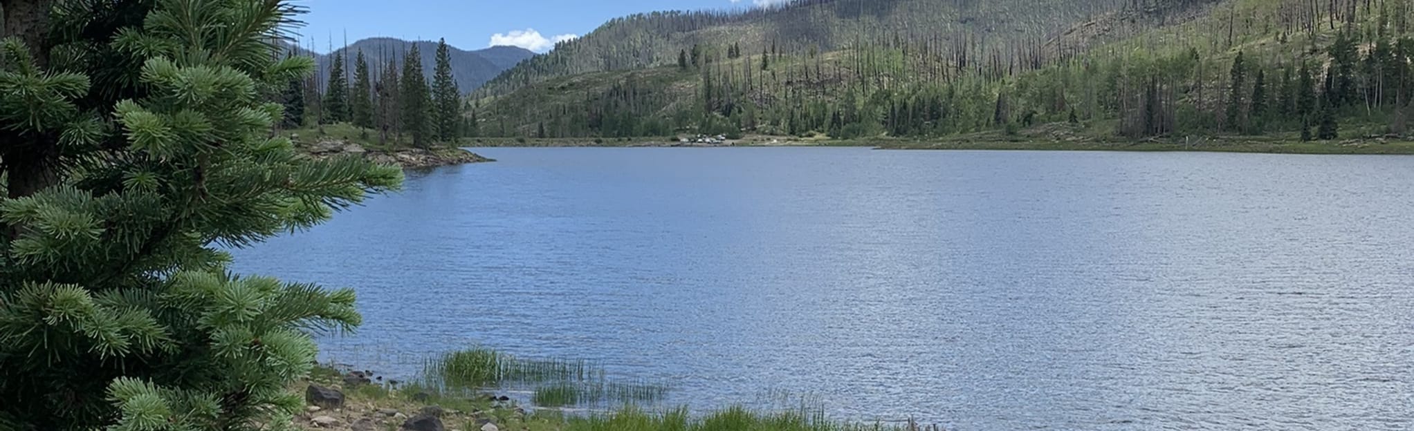 Shaw Lake Loop: 26 Reviews, Map - Colorado | AllTrails