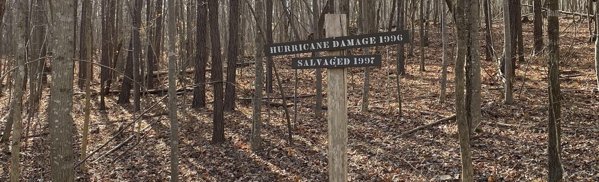 AllTrails Couch Mountain from Gate 11 121 Reviews, Map North Carolina