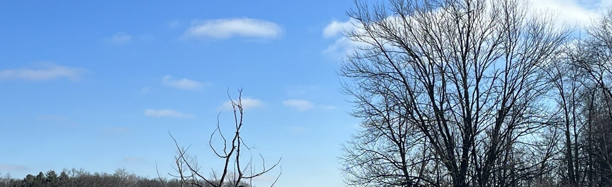 Dallas Lake Park 29 Reviews, Map Indiana AllTrails