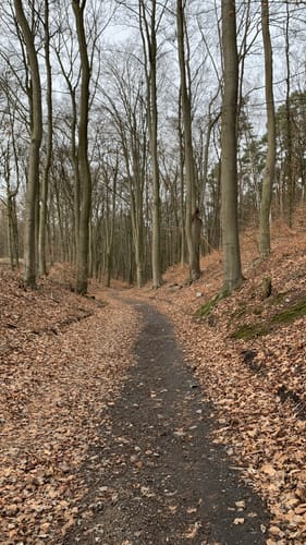 Internationaler Kunstwanderweg Hoher Fläming