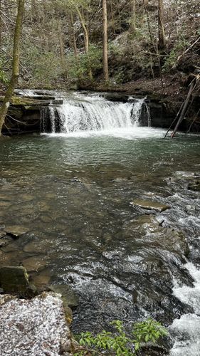 are dogs allowed at south cumberland state park