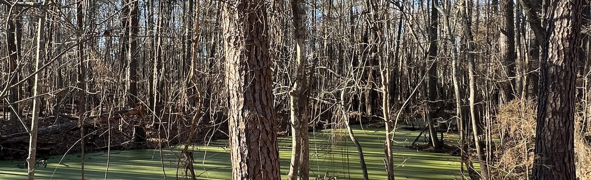 Guignard Clay Quarry Loop Trail 299 Reviews, Map South Carolina