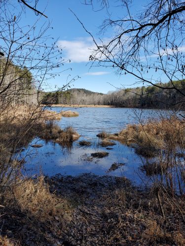 10 Best Hikes and Trails in Crowders Mountain State Park | AllTrails