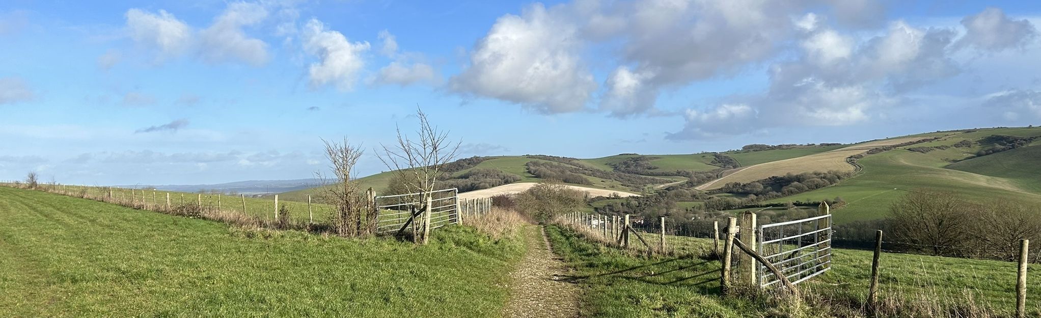 friston forest mtb trails