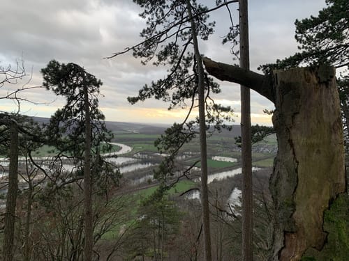 Zu Besuch im Paradies