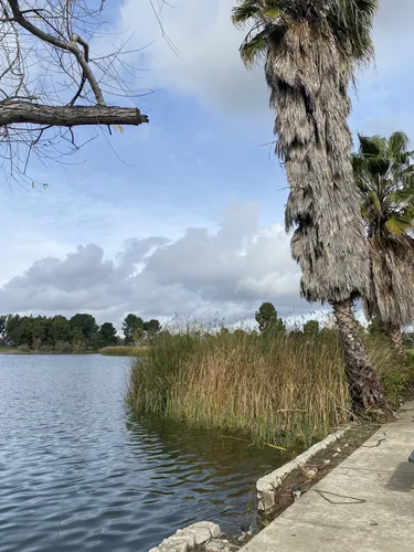 10 Best Trails and Hikes in Long Beach AllTrails