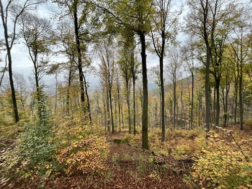 Burg-Nanstein und Kindsberg Rundweg