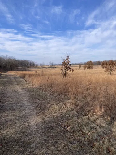 Best Hikes and Trails in Sugar River Alder Forest Preserve | AllTrails