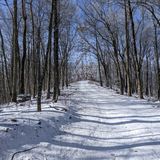 Flint Mill Trail to Holston Mountain Fire Tower, Tennessee - 29 Reviews ...