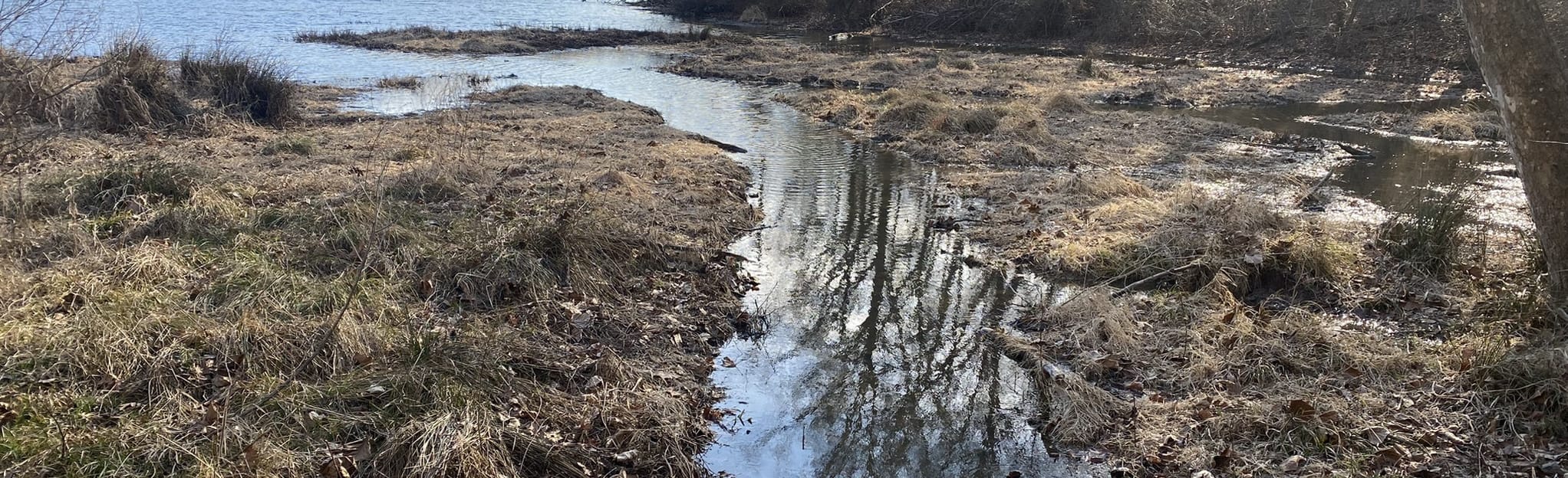 Lake Tywappity Conservation Area 47 Reviews, Map Missouri AllTrails