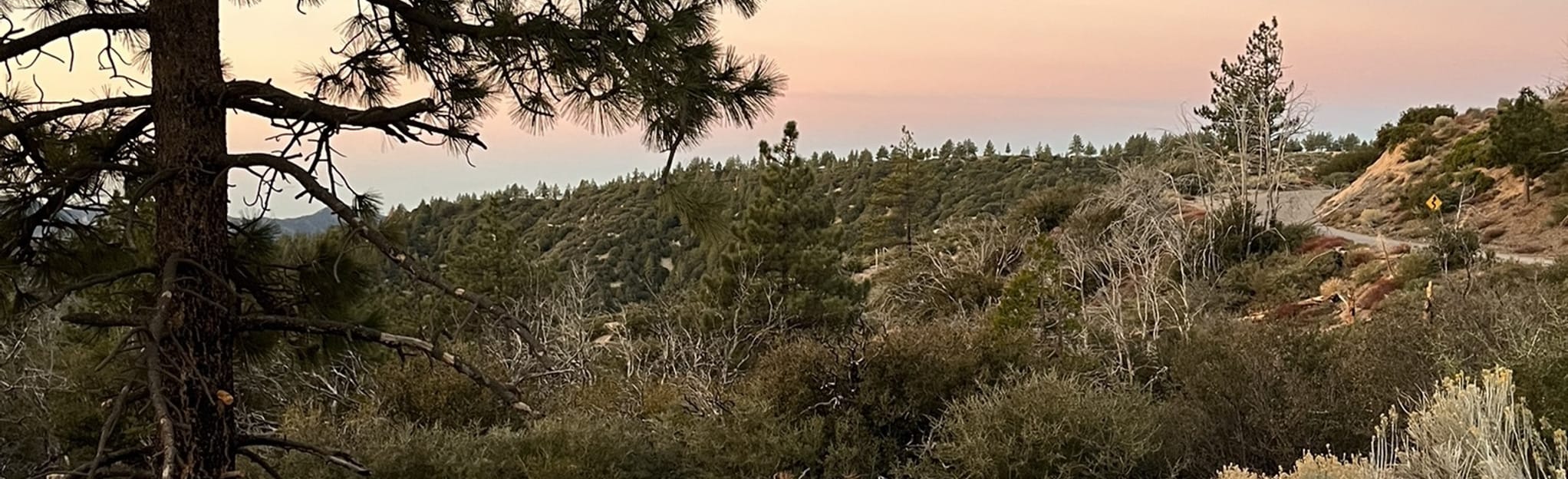 Pacific Crest Trail Three Points - EyJidWNrZXQiOiJhc3NldHMuYWxsdHJhaWxzLmNvbSIsImtleSI6InVwbG9hZHMvcGhvdG8vaW1hZ2UvNTU2NTk2NjUvZDE3NDFlMTI2NmI2MDdlZWE1OWJlMWJiMjJkYmFjYmEuanBnIiwiZWRpdHMiOnsidG9Gb3JtYXQiOiJqcGVnIiwicmVzaXplIjp7IndpZHRoIjoyMDQ0LCJoZWlnaHQiOjYyNCwiZml0IjoiY292ZXIifSwicm90YXRlIjpudWxsLCJqcGVnIjp7InRyZWxsaXNRdWFudGlzYXRpb24iOnRydWUsIm92ZXJzaG9vdERlcmluZ2luZyI6dHJ1ZSwib3B0aW1pc2VTY2FucyI6dHJ1ZSwicXVhbnRpc2F0aW9uVGFibGUiOjN9fX0=