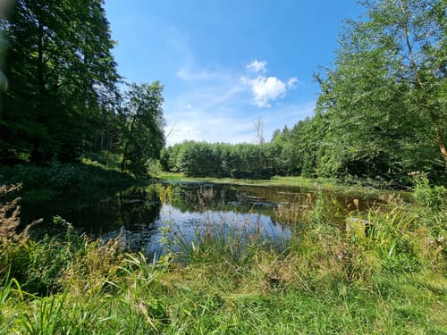 Engelshof und Kloster Oberschönenfeld ab Burgwalden