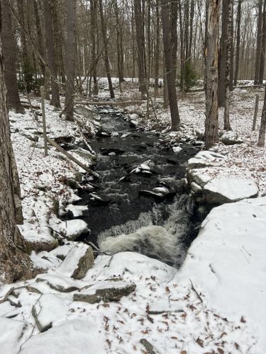 brooks woodland preserve