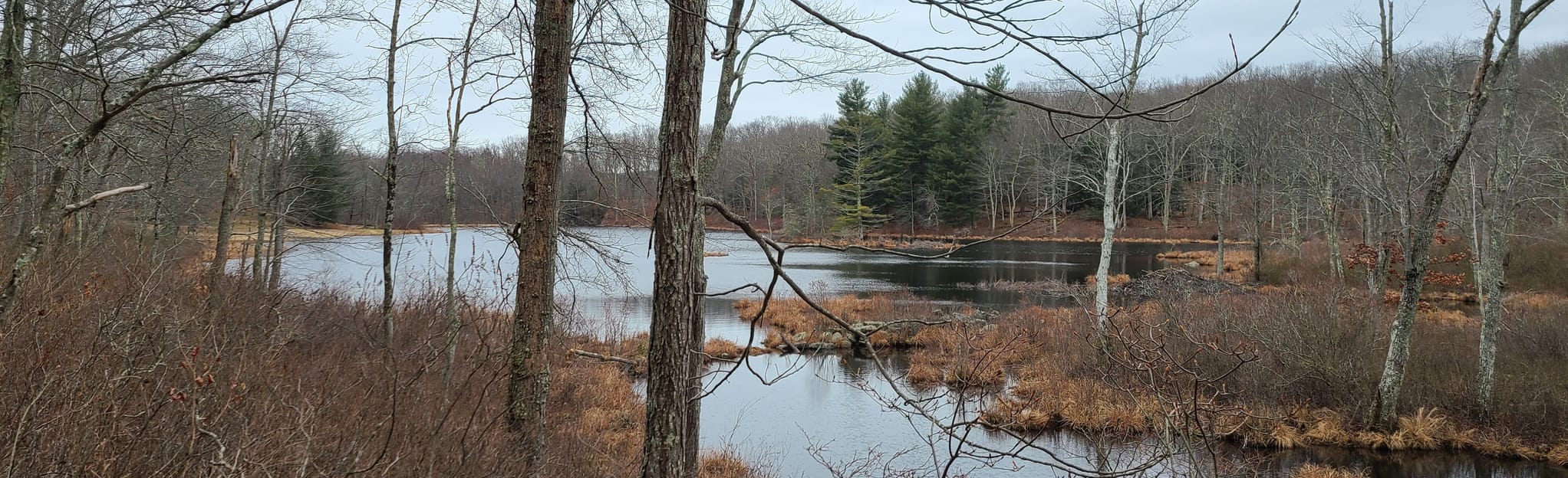 Blackledge River Loop: 172 Reviews, Map - Connecticut | AllTrails