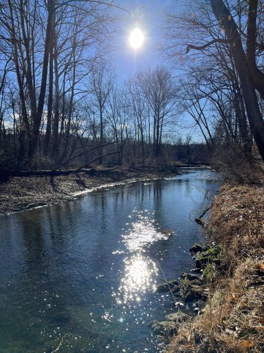 Escape to Serenity: Pennsylvania's White Clay Creek Preserve