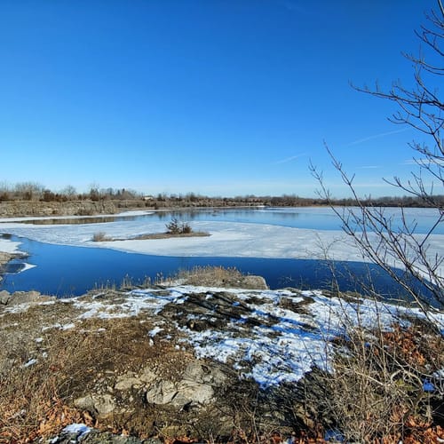De beste routes in Wainfleet Wetlands Conservation Area voor 2023