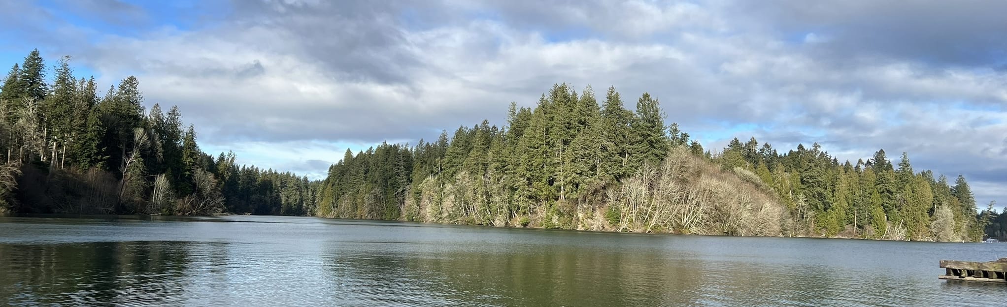 Woodard Bay Loop Trail, Washington 585 Reviews, Map AllTrails