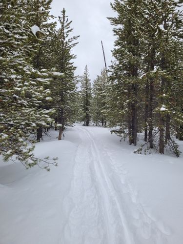 2023 Best No Dogs Trails in Caribou-Targhee National Forest | AllTrails